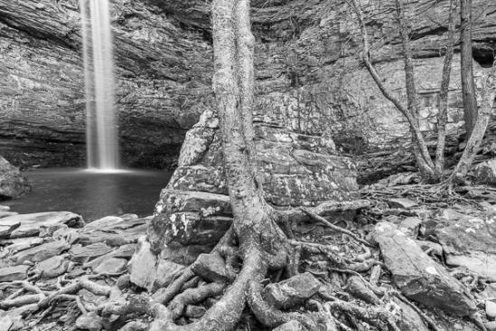 Aqua;Black and White;Boulder;Boulders;Branches;Calm;Cascade;Chute;Falls;Flow;Healing;Health care;Healthcare;Ozone Falls;Pebbles;Pouring;River;Rock;Rock formations;Rocks;Rocky;Stone;Stones;Stream;Streaming;Tree;Water;Waterfalls;flowing;green;peaceful;plants;rapids;restful;roots;serene;soothing;tranquil;tree limbs;trees;trunk;waterfall